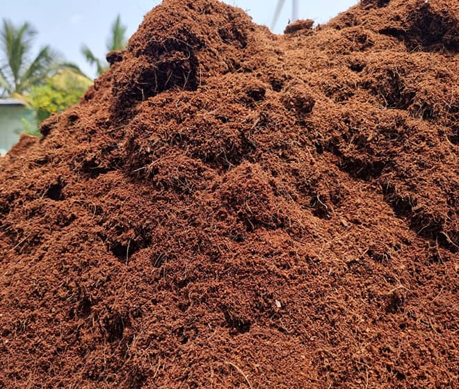 Cocopeat Image 1