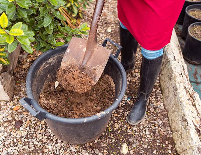 Cocopeat with Man