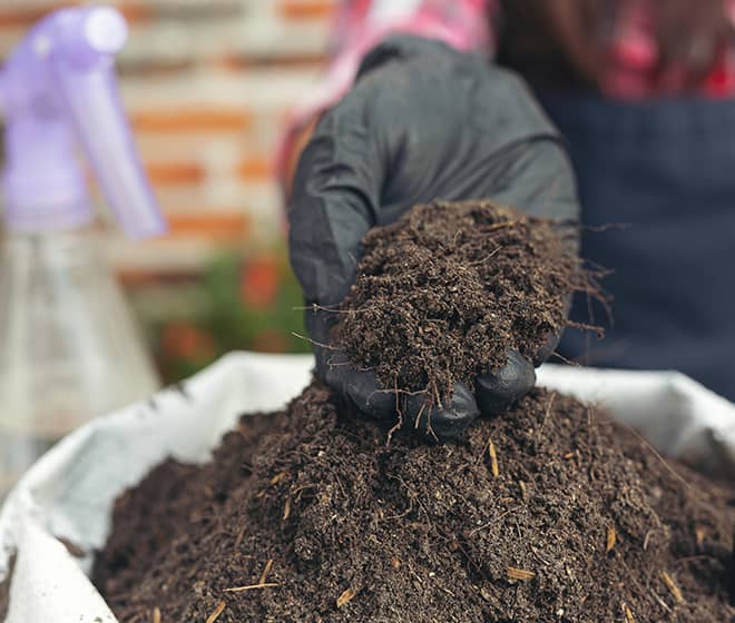 Organic Fertilizer Image 2