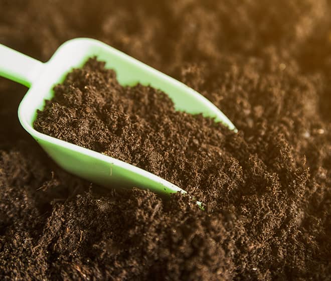 Organic Fertilizer Image 3