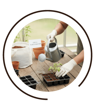 Plant & Maintain